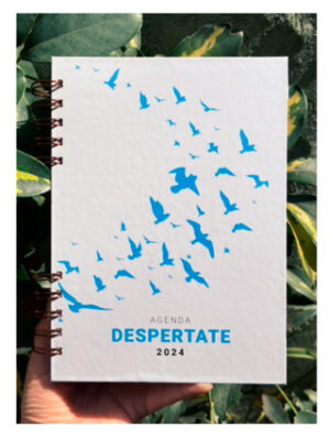 Agenda DESPERTATE 2024